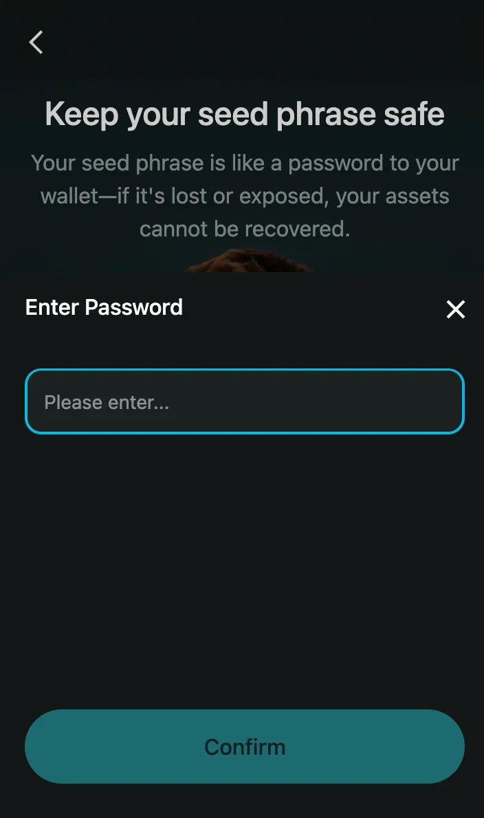 bitget-browser-2.20.0-177743cf.png