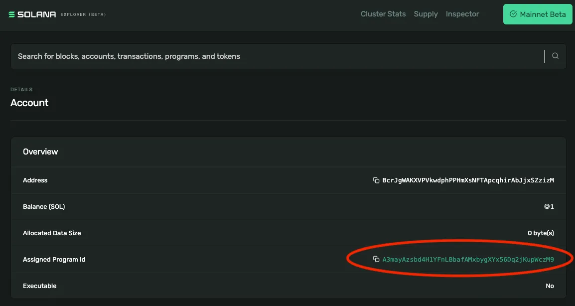 Solana Explorer showing the wallet&#x27;s new owner as the attacker&#x27;s smart contract