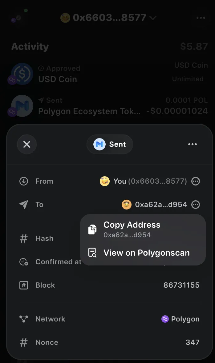 rainbow-browser-1.6.4-6e993719.png